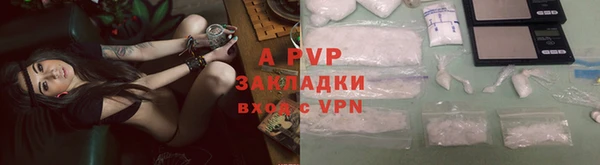 соль ск Белокуриха