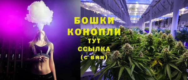 соль ск Белокуриха
