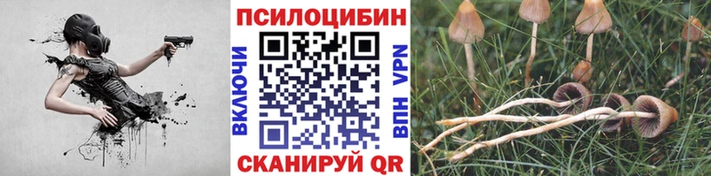 Купить  Партизанск  Псилоцибиновые грибы прущие грибы 